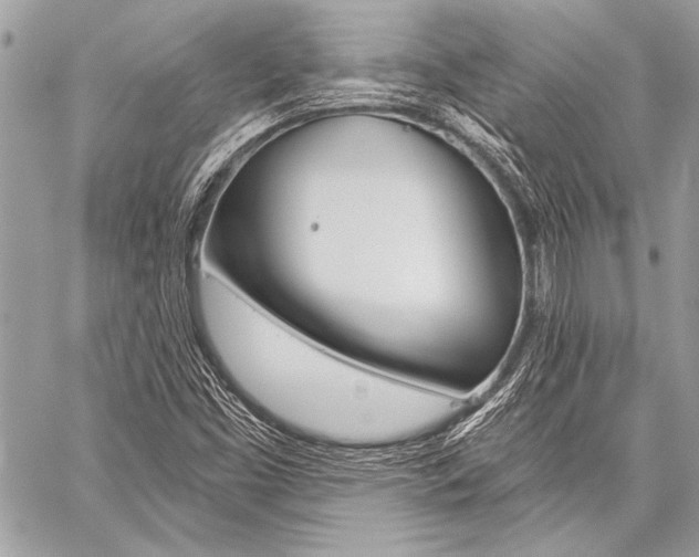 X0000059241453200510140808
