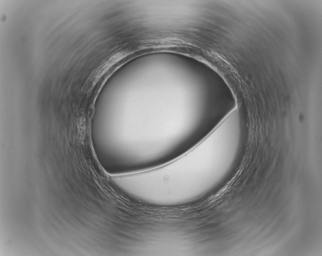 X0000059241457200510140808