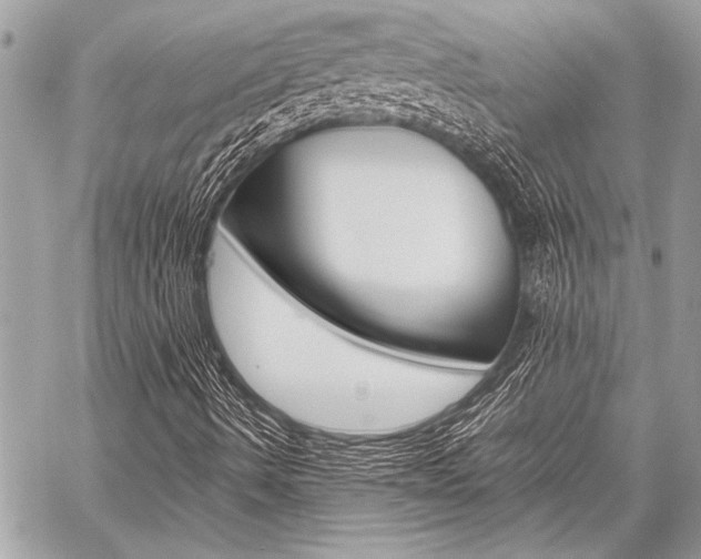 X0000059241490200510140807