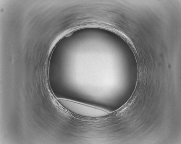 X0000059241530200510140807