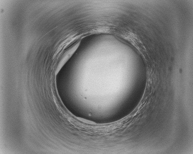 X0000059240001200510141114