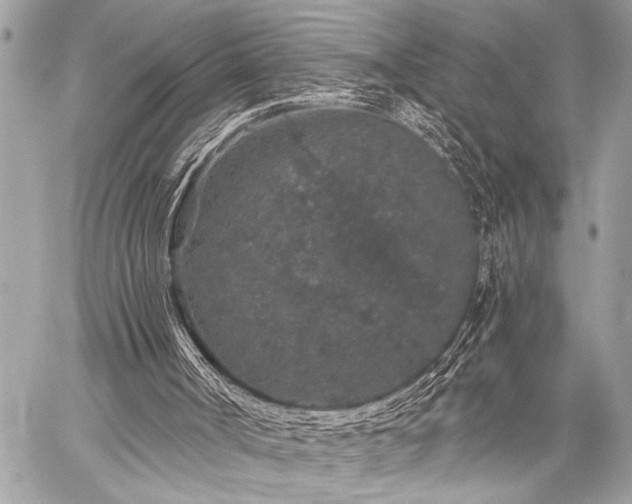 X0000059240002200510141114