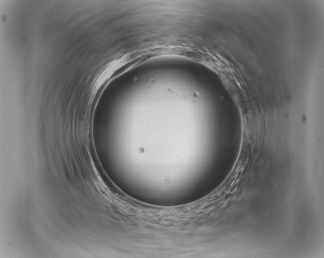 X0000059240003200510141114