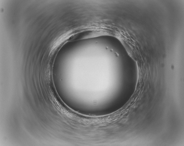 X0000059240005200510141114