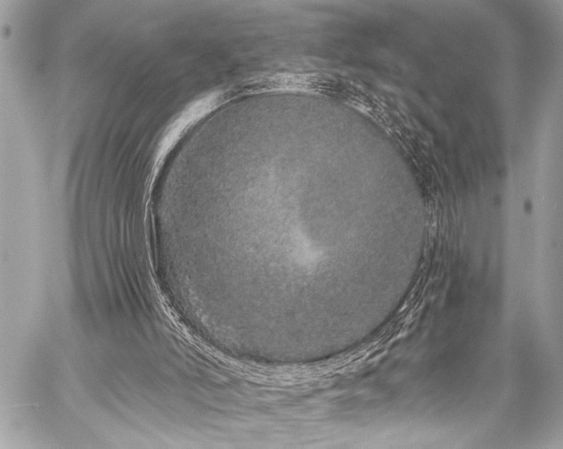 X0000059240006200510141114