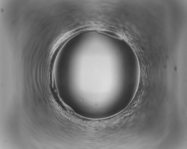 X0000059240007200510141114