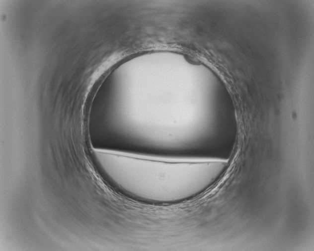 X0000059240008200510141114