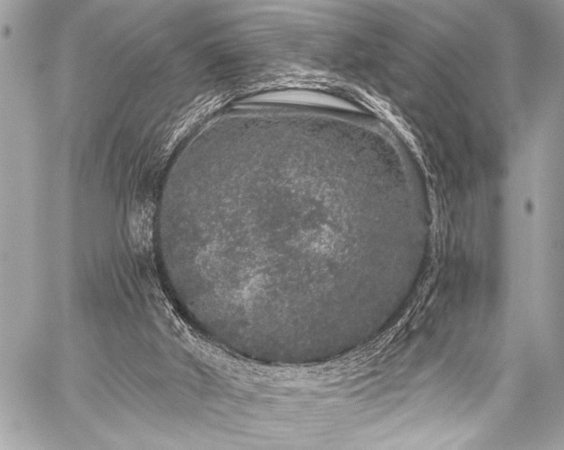 X0000059240010200510141114