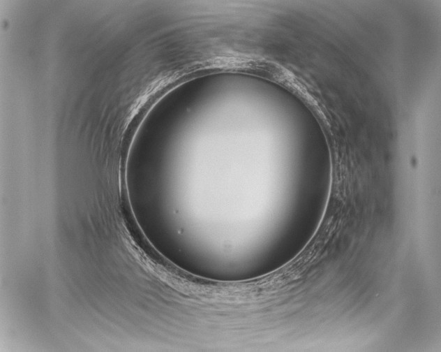 X0000059240011200510141114