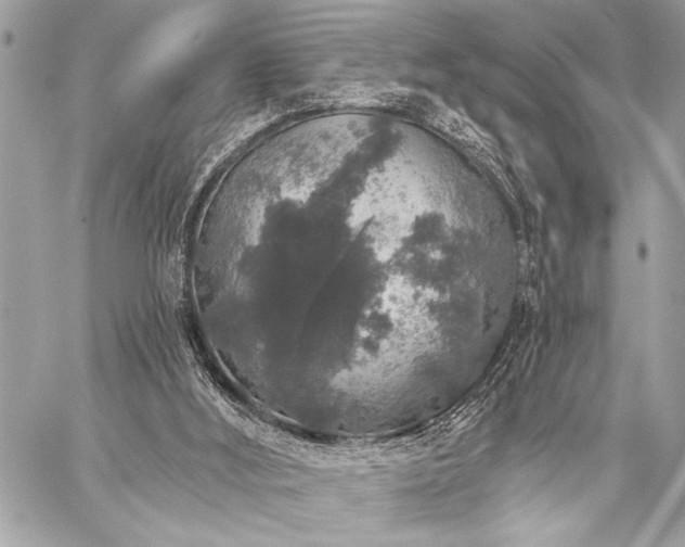 X0000059240012200510141114