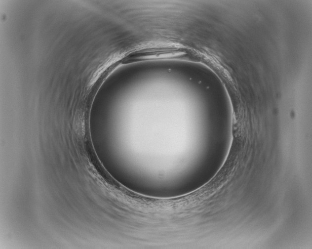 X0000059240015200510141114