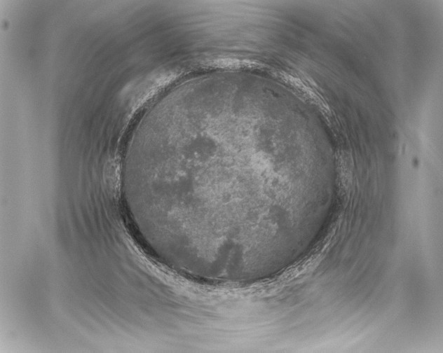 X0000059240016200510141114