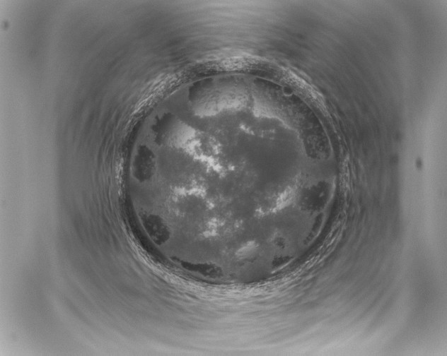 X0000059240018200510141114