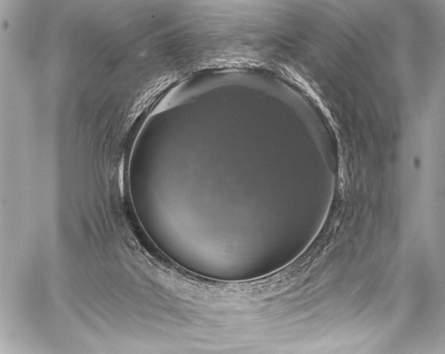 X0000059240019200510141114