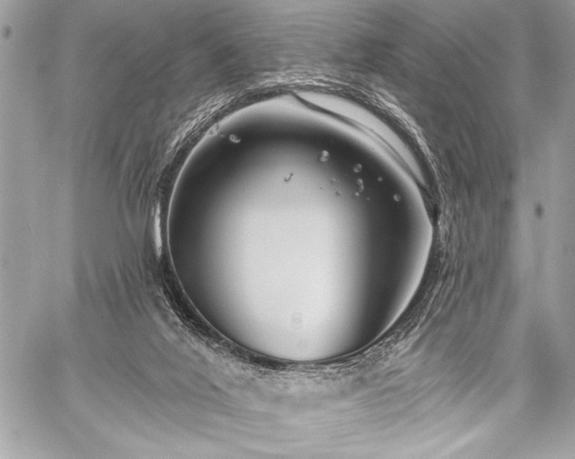 X0000059240020200510141114