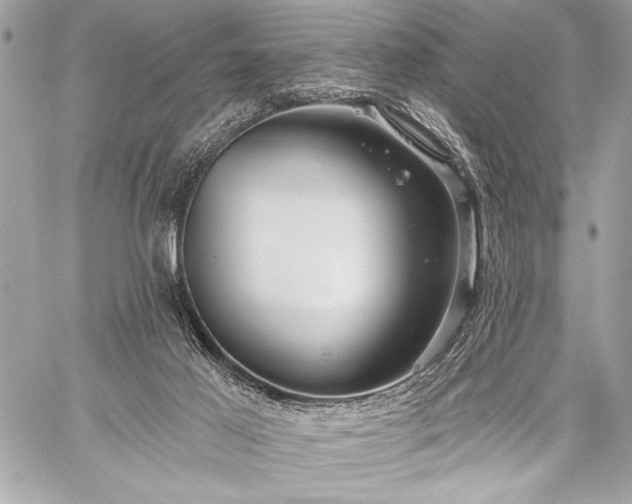 X0000059240021200510141114