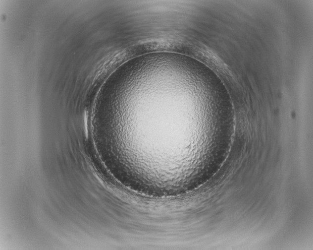 X0000059240022200510141114