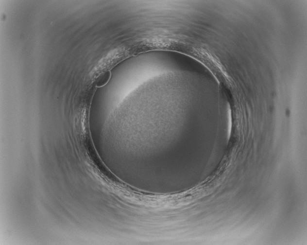 X0000059240023200510141114