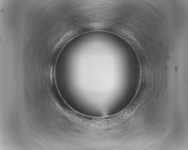 X0000059240024200510141114