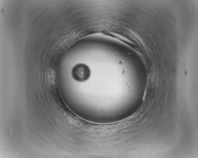 X0000059240025200510141114