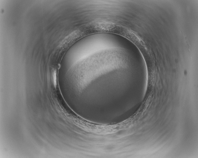 X0000059240027200510141114