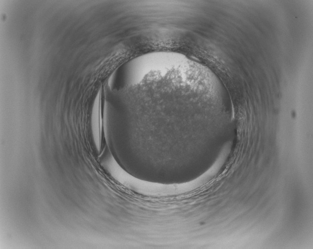 X0000059240029200510141114