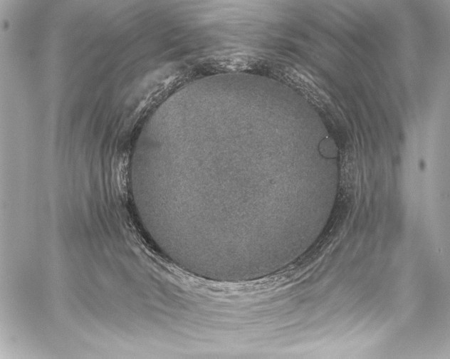 X0000059240030200510141114