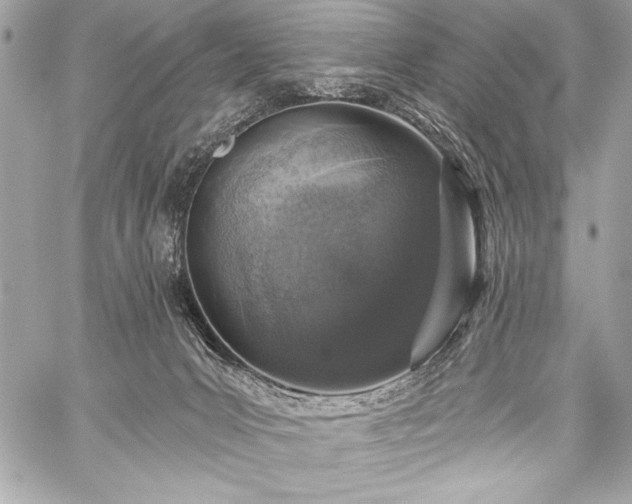 X0000059240031200510141114