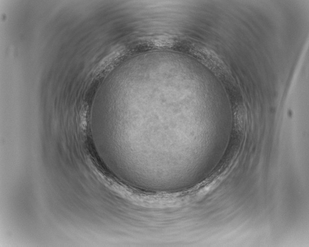 X0000059240032200510141114