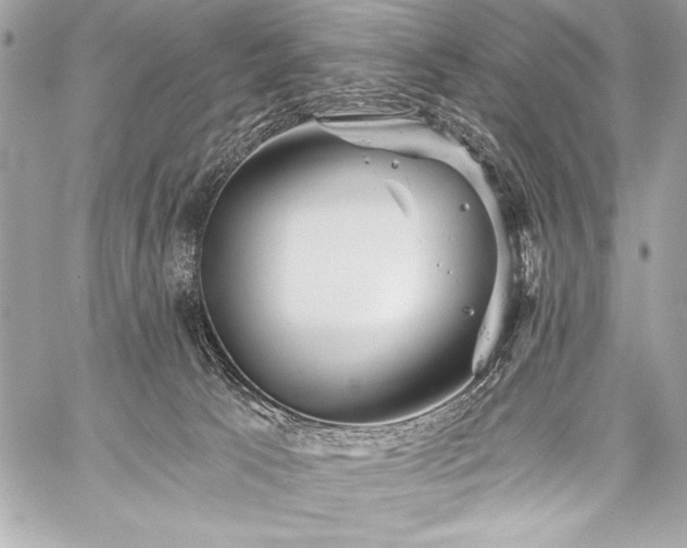 X0000059240033200510141114