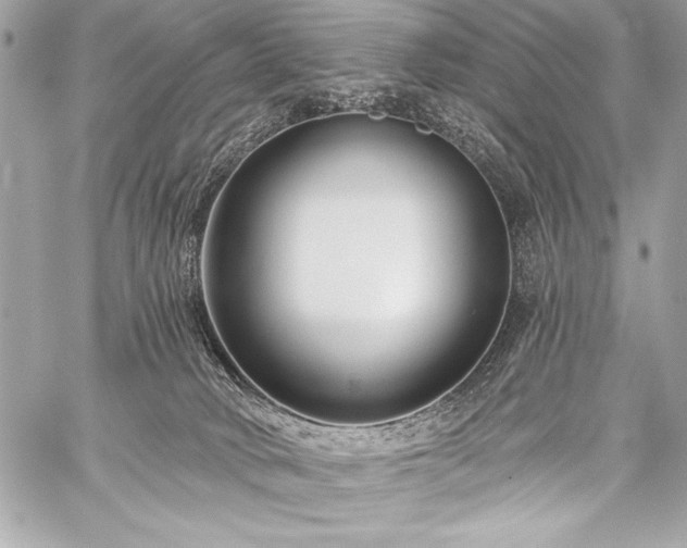 X0000059240034200510141114