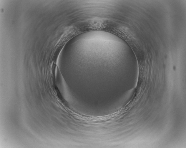 X0000059240035200510141114