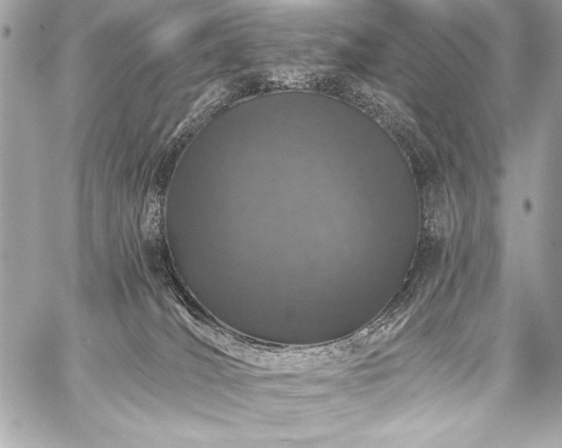 X0000059240036200510141114