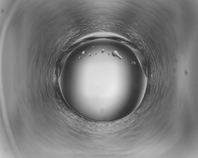 X0000059240037200510141114