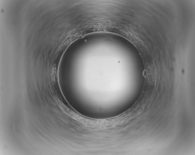 X0000059240038200510141114