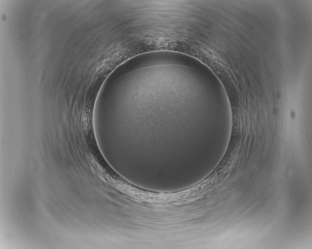 X0000059240039200510141114