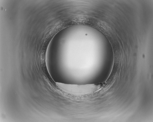 X0000059240040200510141114