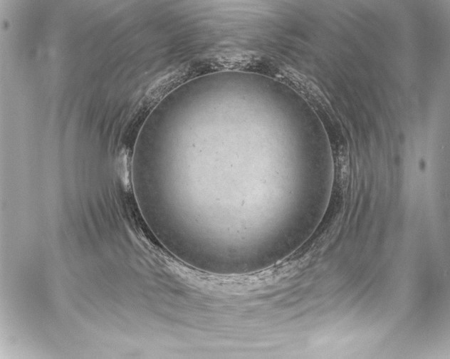 X0000059240042200510141114