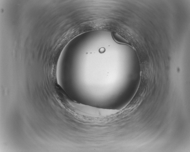 X0000059240044200510141114