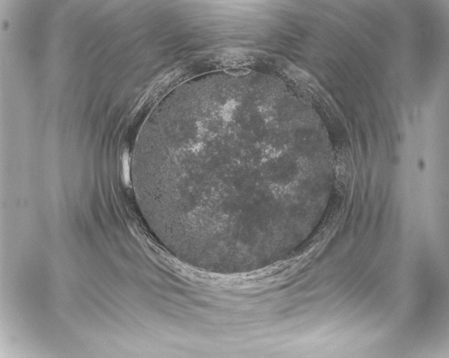 X0000059240046200510141114