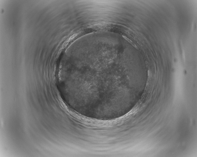 X0000059240048200510141114