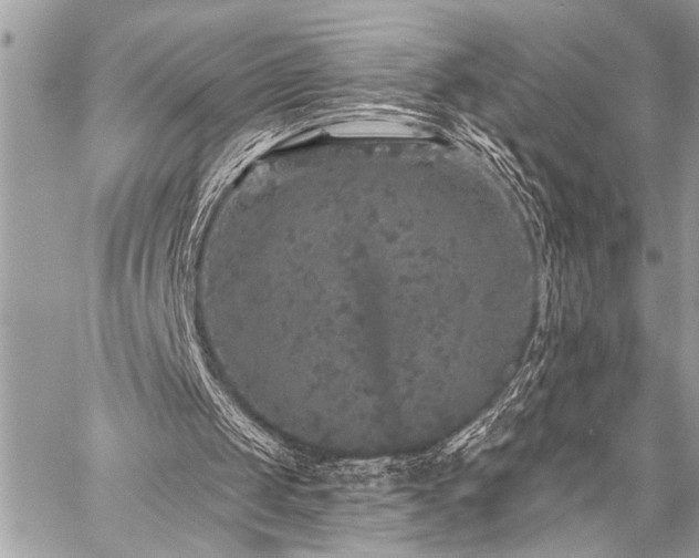 X0000059240049200510141113