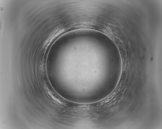 X0000059240050200510141113