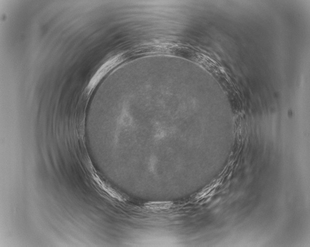 X0000059240051200510141113