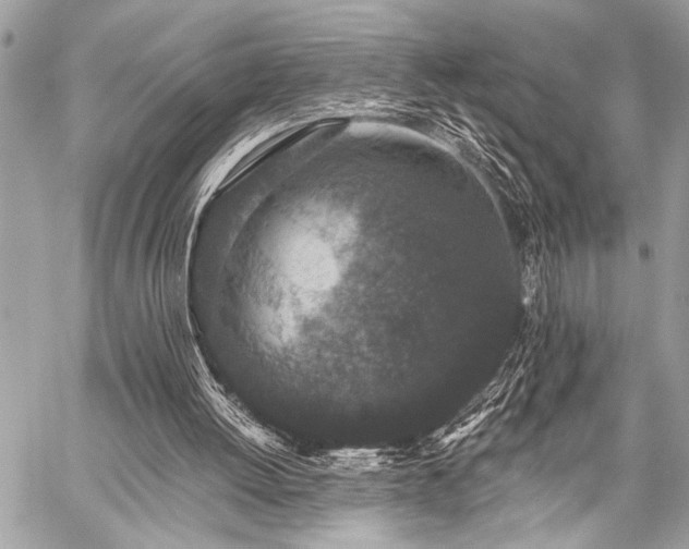 X0000059240052200510141113