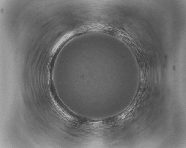 X0000059240054200510141113