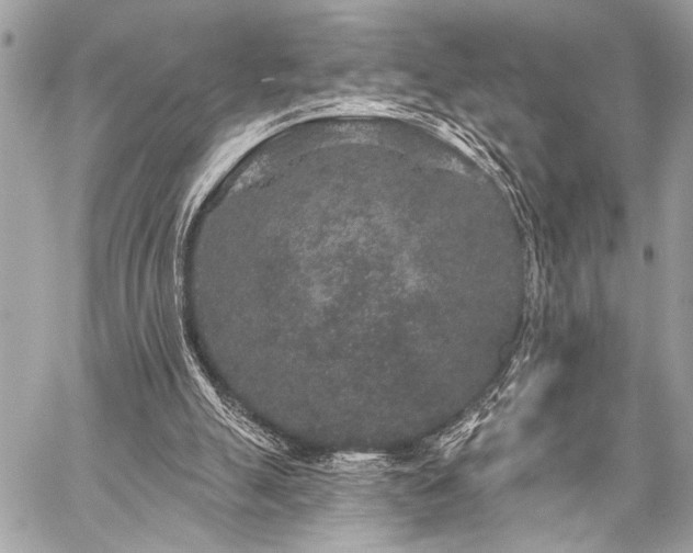 X0000059240055200510141113