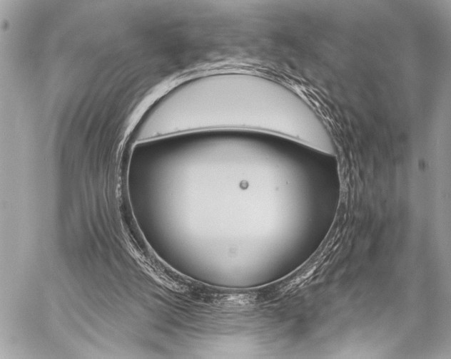 X0000059240056200510141113