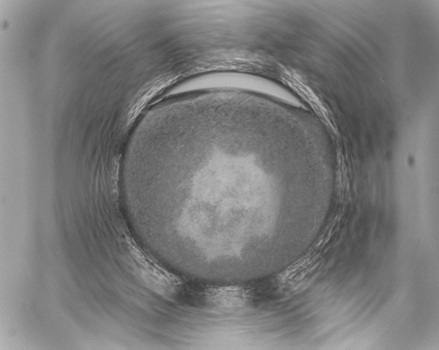 X0000059240058200510141113