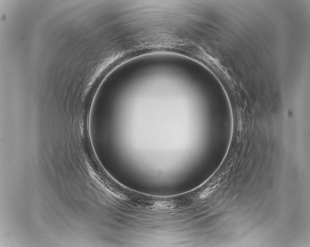 X0000059240060200510141113